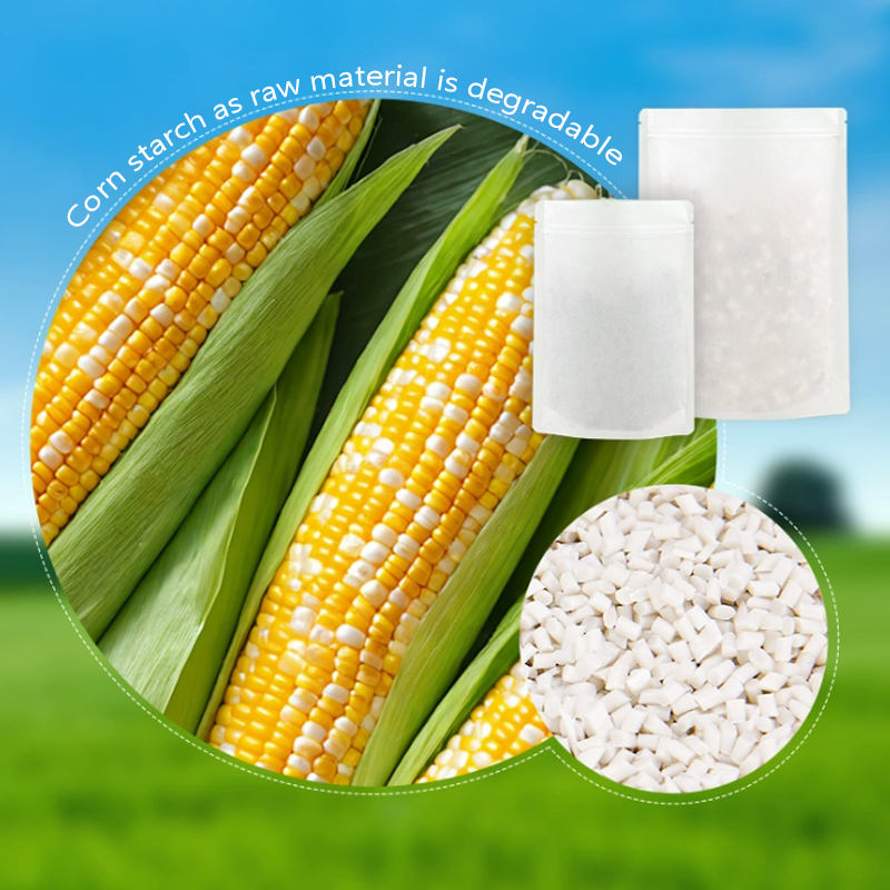 Customized Degradable Kraft Pa - Zebra Food Storage 评论和价格